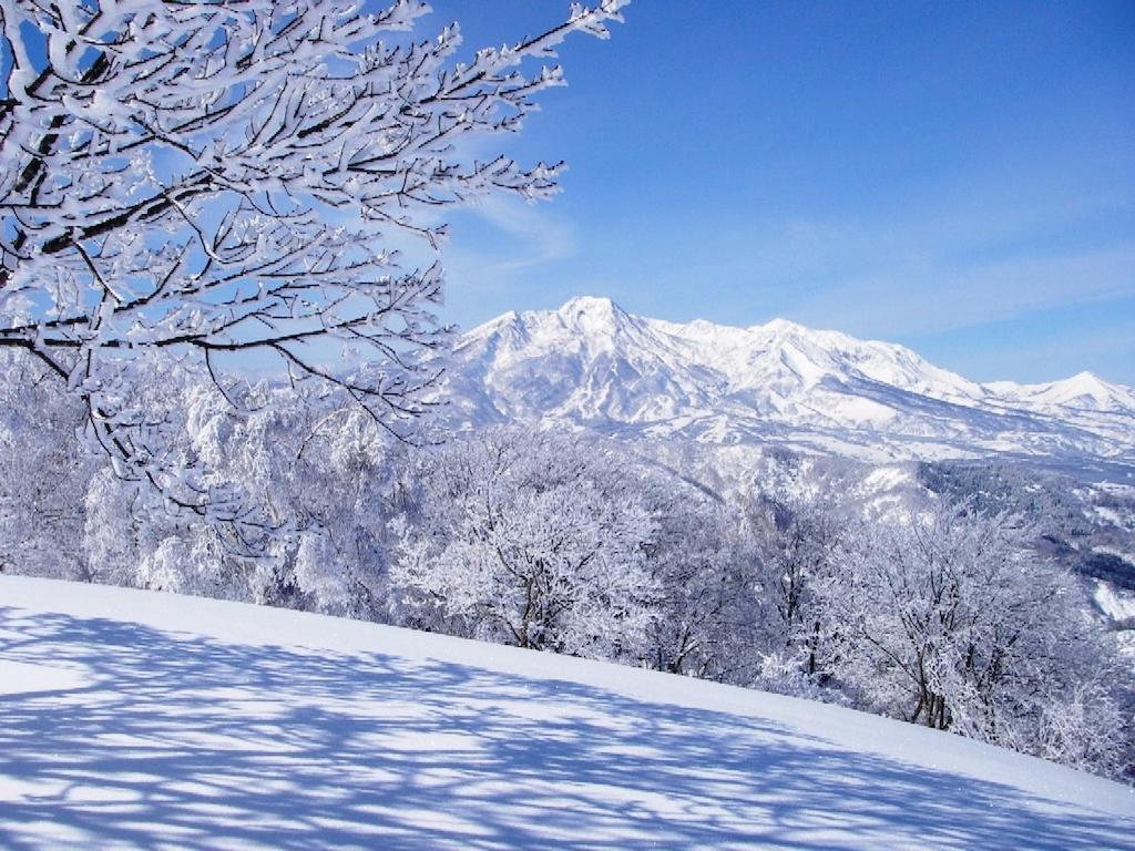 Madarao Elm Pension Iiyama Luaran gambar