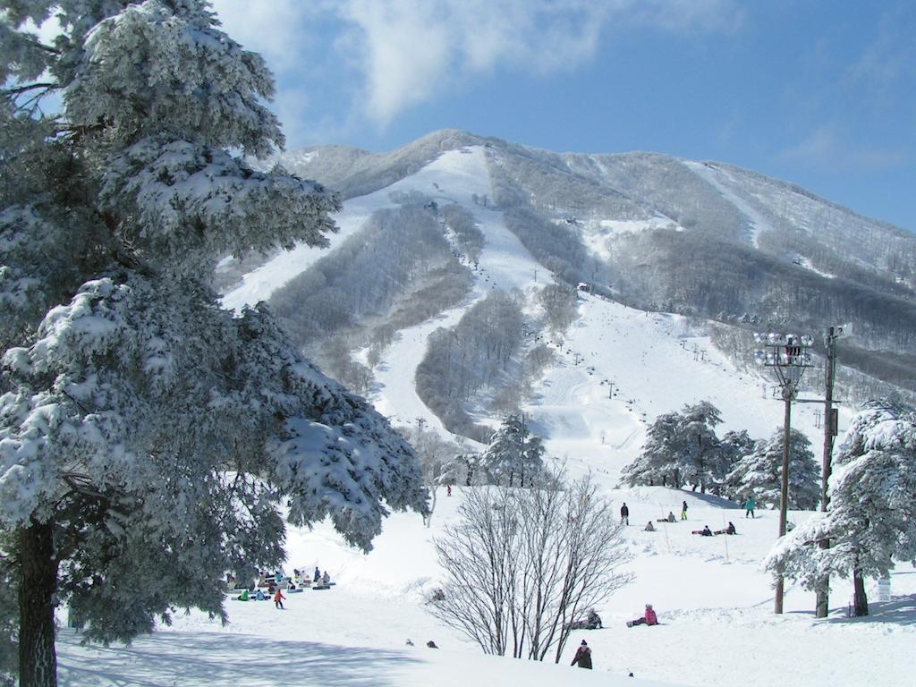 Madarao Elm Pension Iiyama Luaran gambar