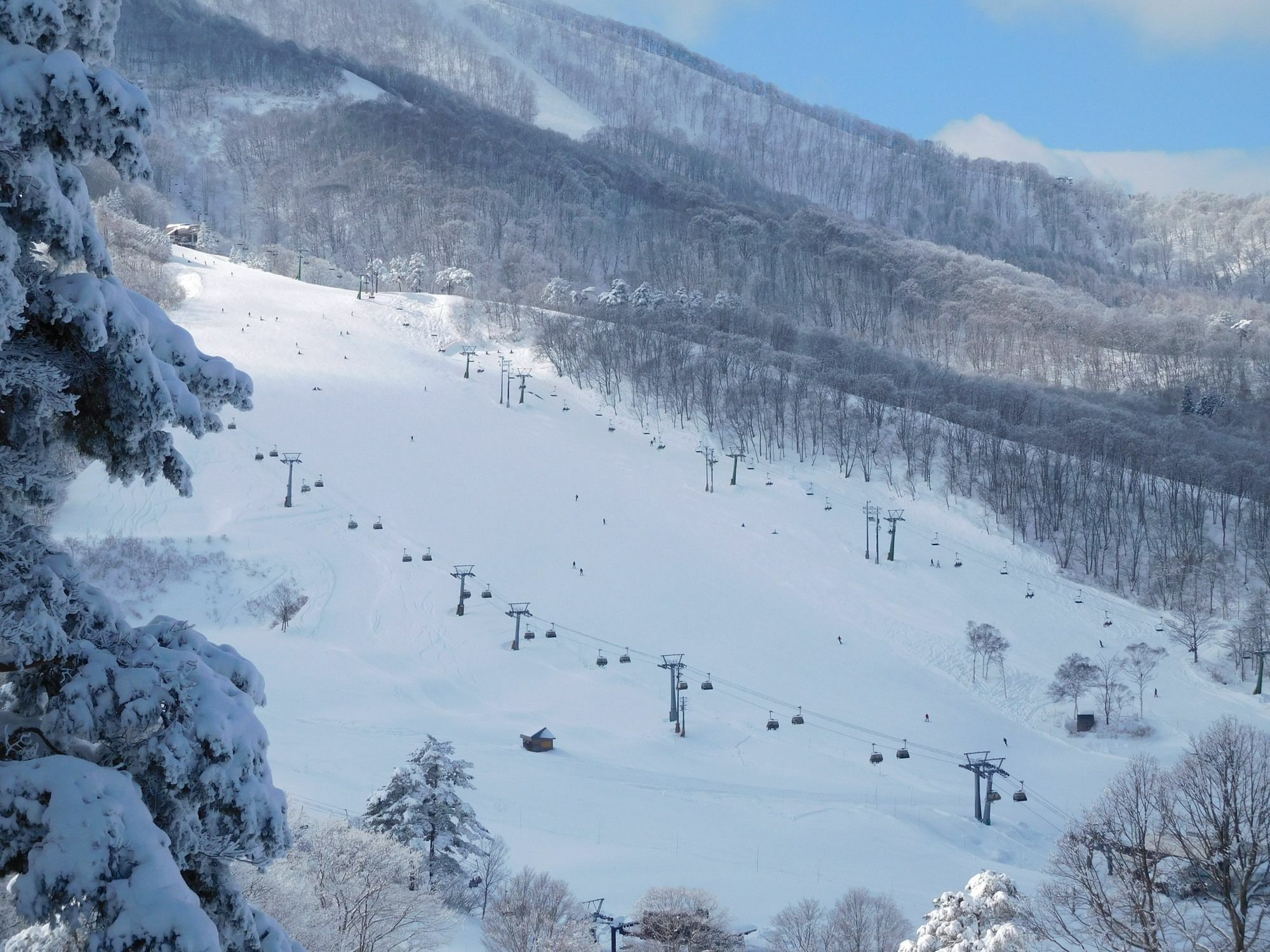 Madarao Elm Pension Iiyama Luaran gambar